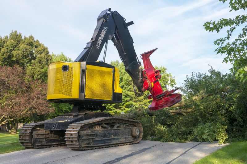 Tree Removal Equipment