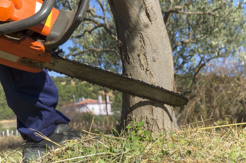 Equipment Cutting Tree