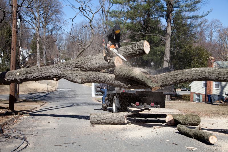 Tree Removal Truck